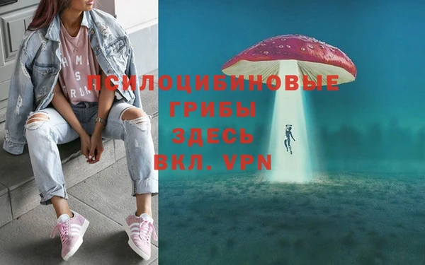 PSILOCYBIN Михайловка