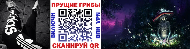 Псилоцибиновые грибы Magic Shrooms  даркнет телеграм  Ак-Довурак 